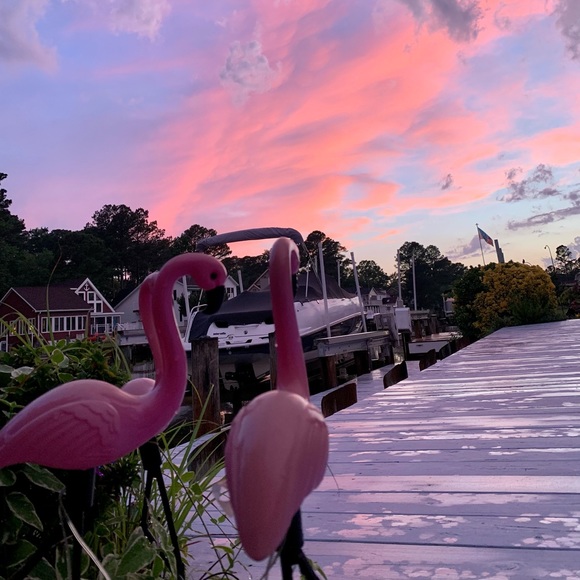 Meet your Posher, Erica - Picture 3 of 8